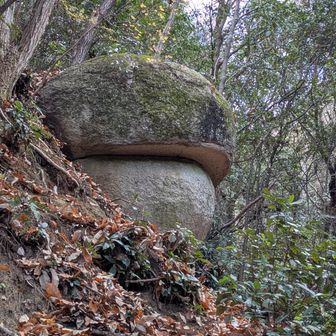 下ばかり見てて…
通り過ぎた　カエル岩

見上げた所にある