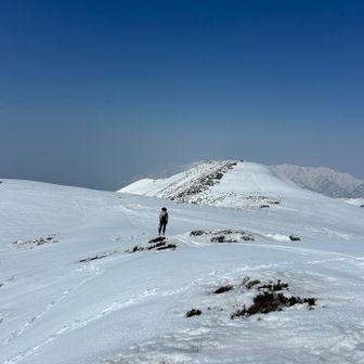 楽しそうなBCのお兄さんが来て、
ちょっとお話しして、すーっと滑って行った。楽しそう♪✨