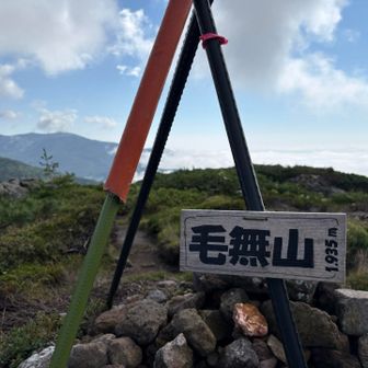 藍○さん、毛無山に着きましたよ🫢
未だ少ししか登って無いのに運動不足の生活ですっかり鈍ってしまった身体に応えます😖