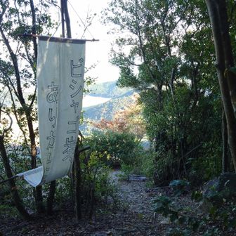 おおー！🤩ついた！