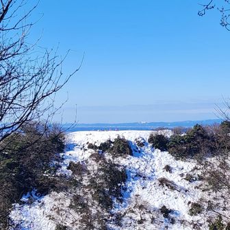 城ヶ平山しか見えん展望台