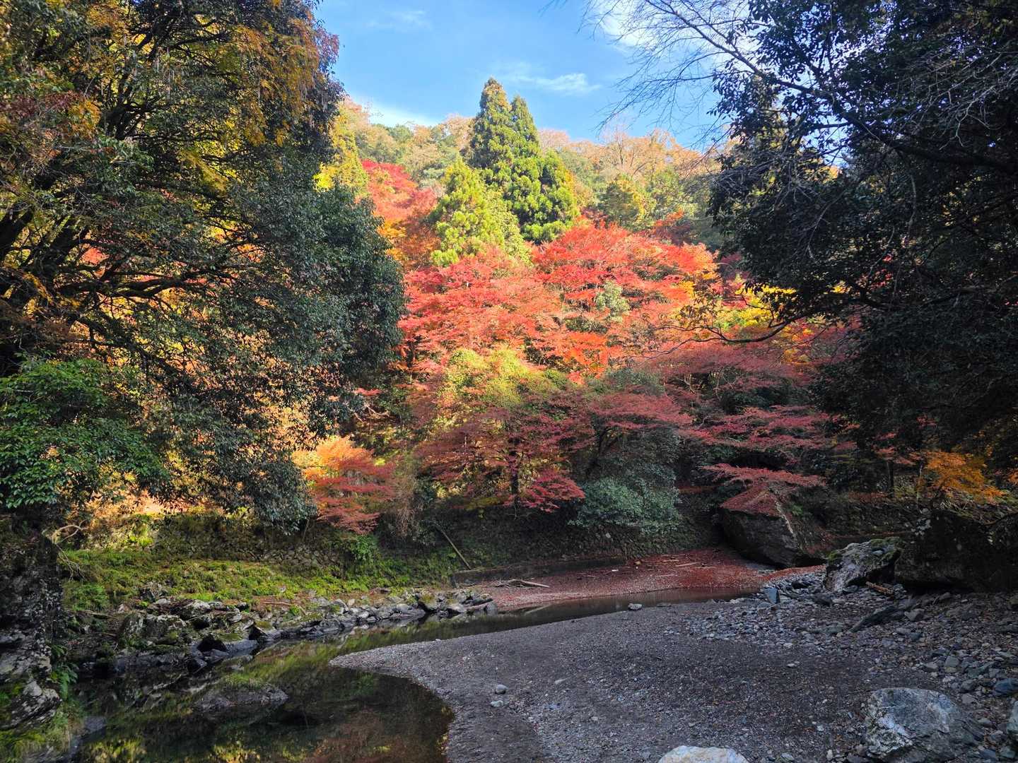 鷹峯源光庵前バス停-上ノ水峠-仏栗峠-槙ノ尾バス停-清滝バ 縦走コースの写真
