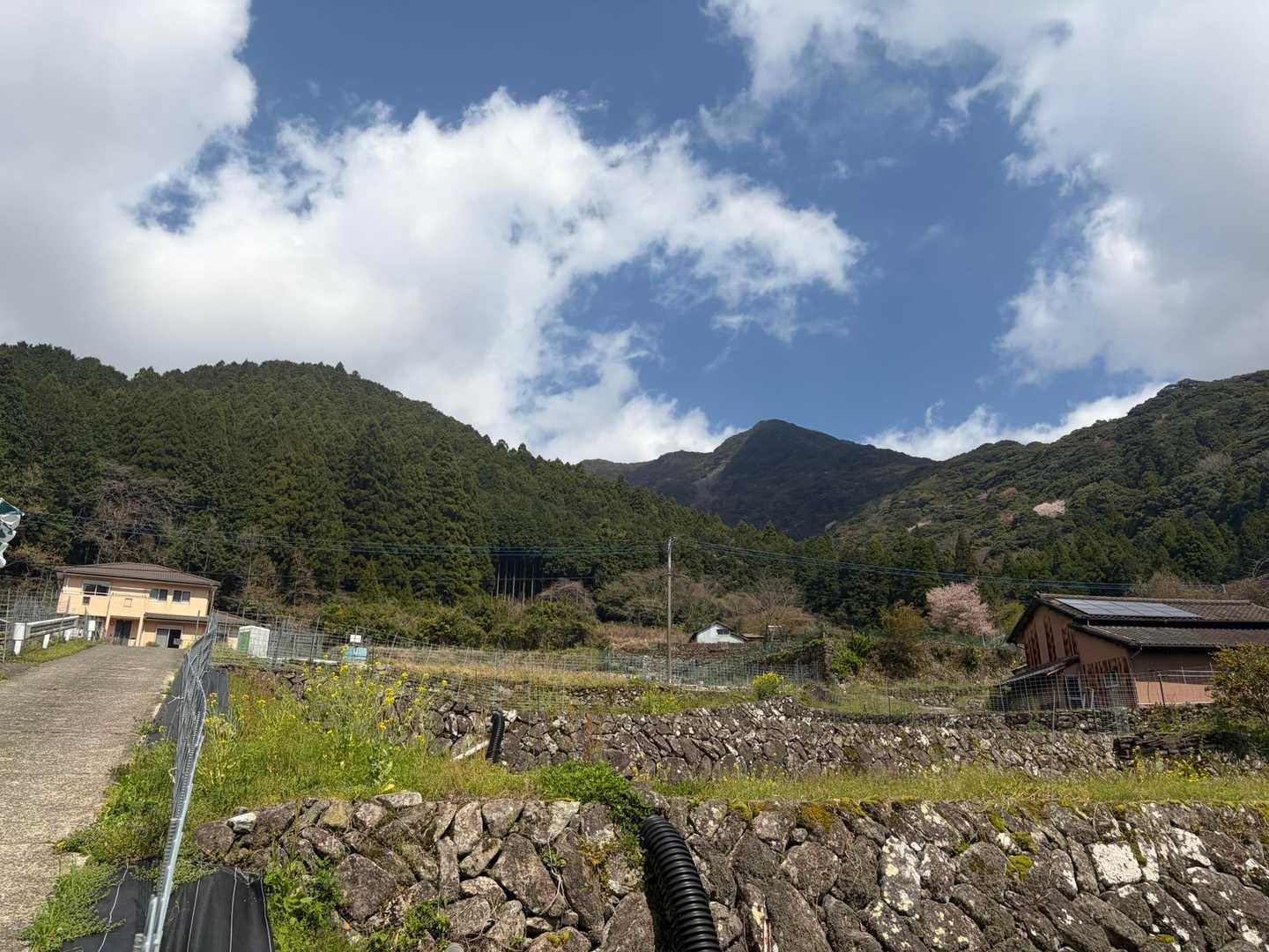 北川内に下って来ました。青空見えてます😊
この後の登り返しがキツイんです😱