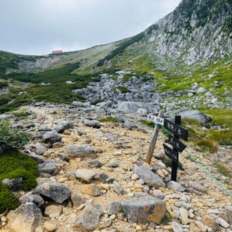 天狗山荘見えてきました！
ここまできたら、あとはゆるゆる登るだけ