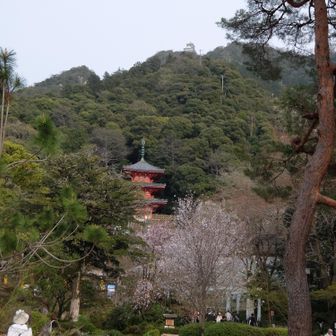 いつもの場所で