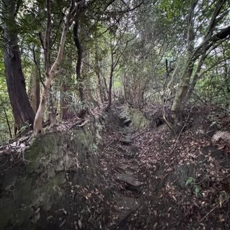 ずっと休みなく登りが続く