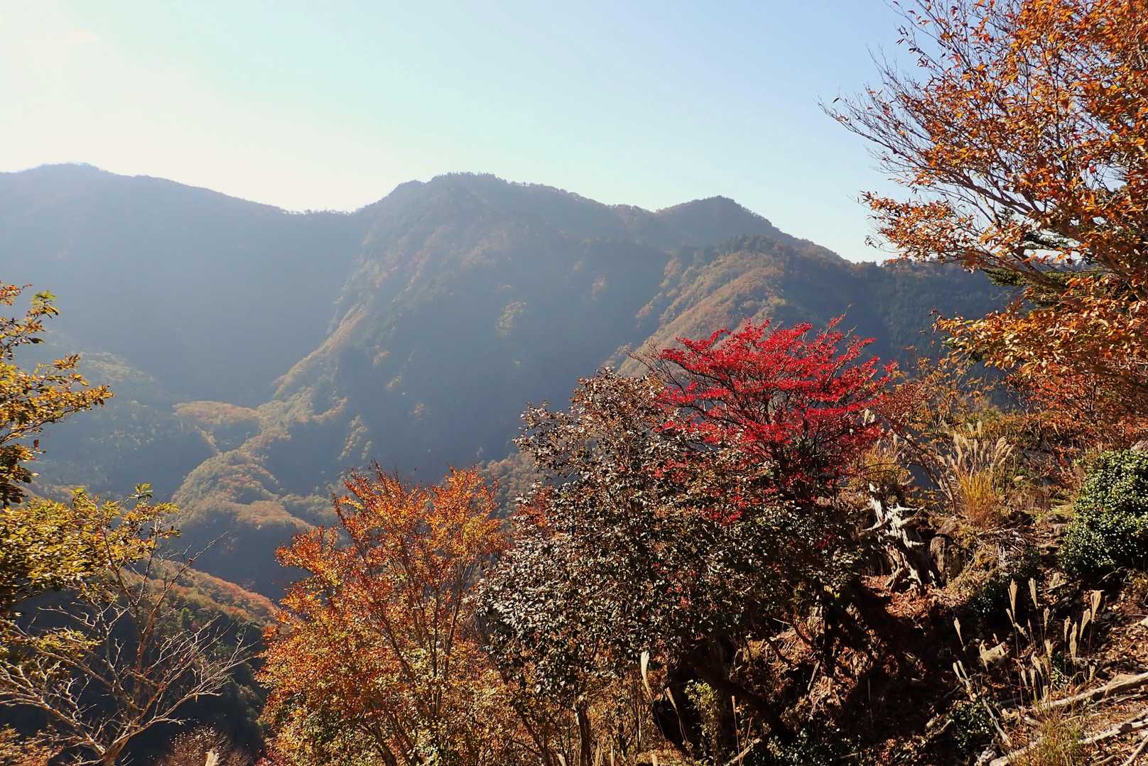 東から陽が登るので、やや逆光気味です
まだ、七面の猫耳も半分（槍の尾の頭）しか見えてません💦