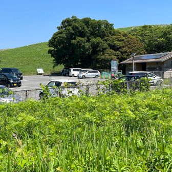 駐車場に戻ってきました。
今回もご覧いただきありがとうございました。