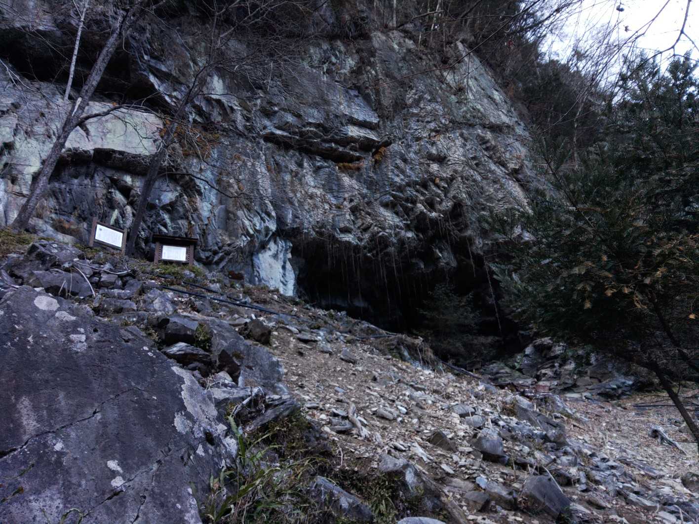 大輪バス停-三峯神社 周回コースの写真