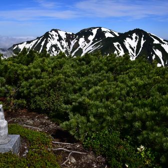 観音様と一緒にアンギラス・ニセカウをしばし眺める。