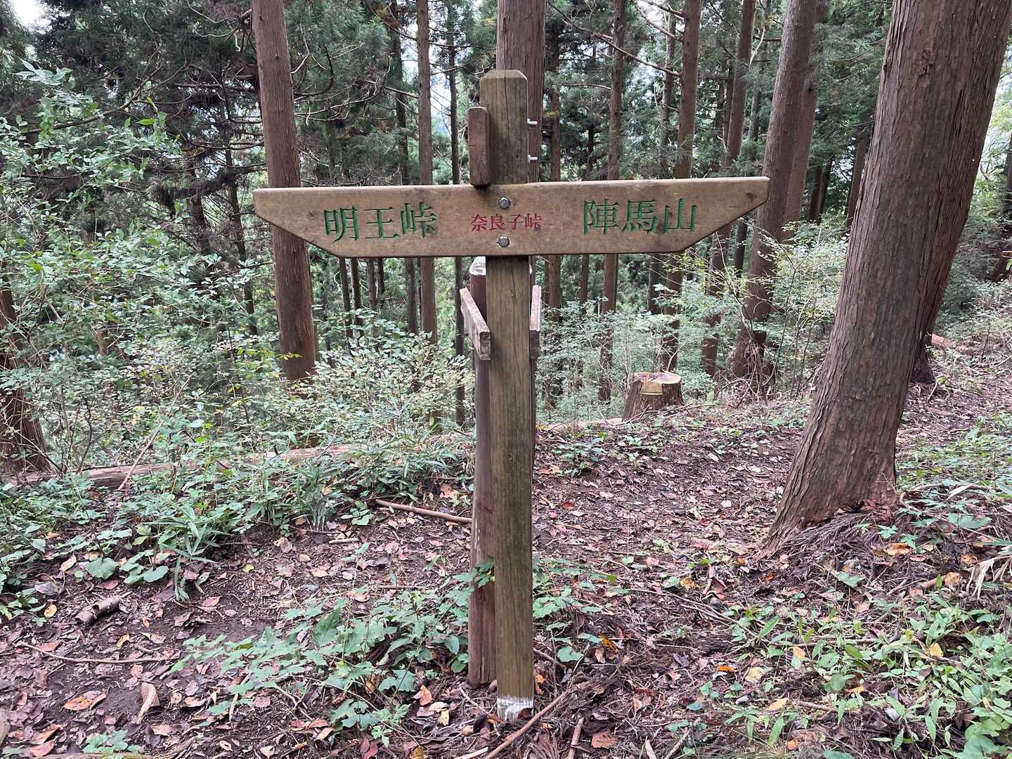陣馬高原下-陣馬山-景信山-小仏バス停 縦走コースの写真