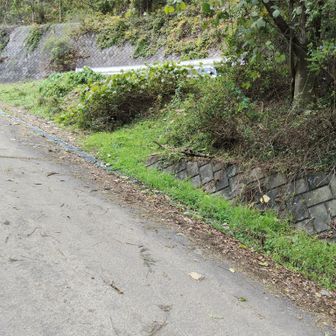結局すれ違った人は10人ほどかな　人気山であることが分かる