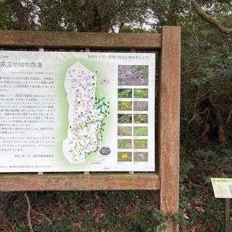 そうでなくて　登りましょう
