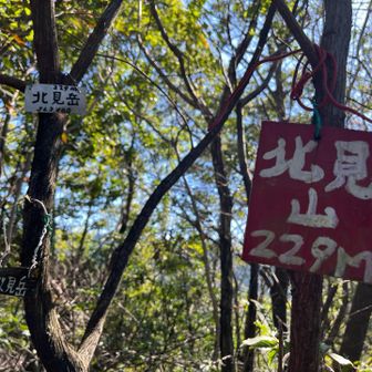 北見岳ついたー