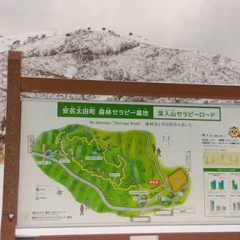 トレースがあったので南登山口から