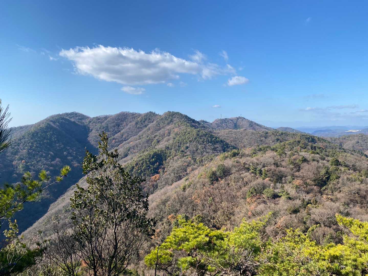 鉢ヶ峰 往復コースの写真
