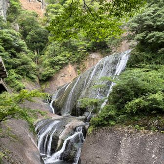 下まで降りて
先程上から見た袋田の滝を横から