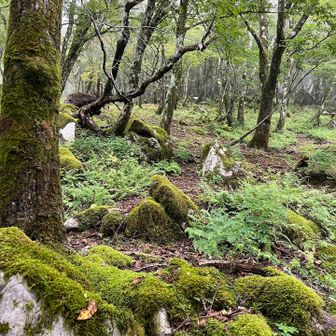 この山は、景色がキレイすぎる✨
眺望無くても大満足✌️