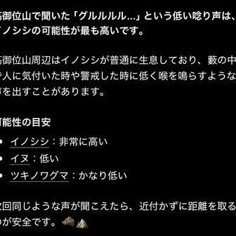 チャッピーに聞いてみた