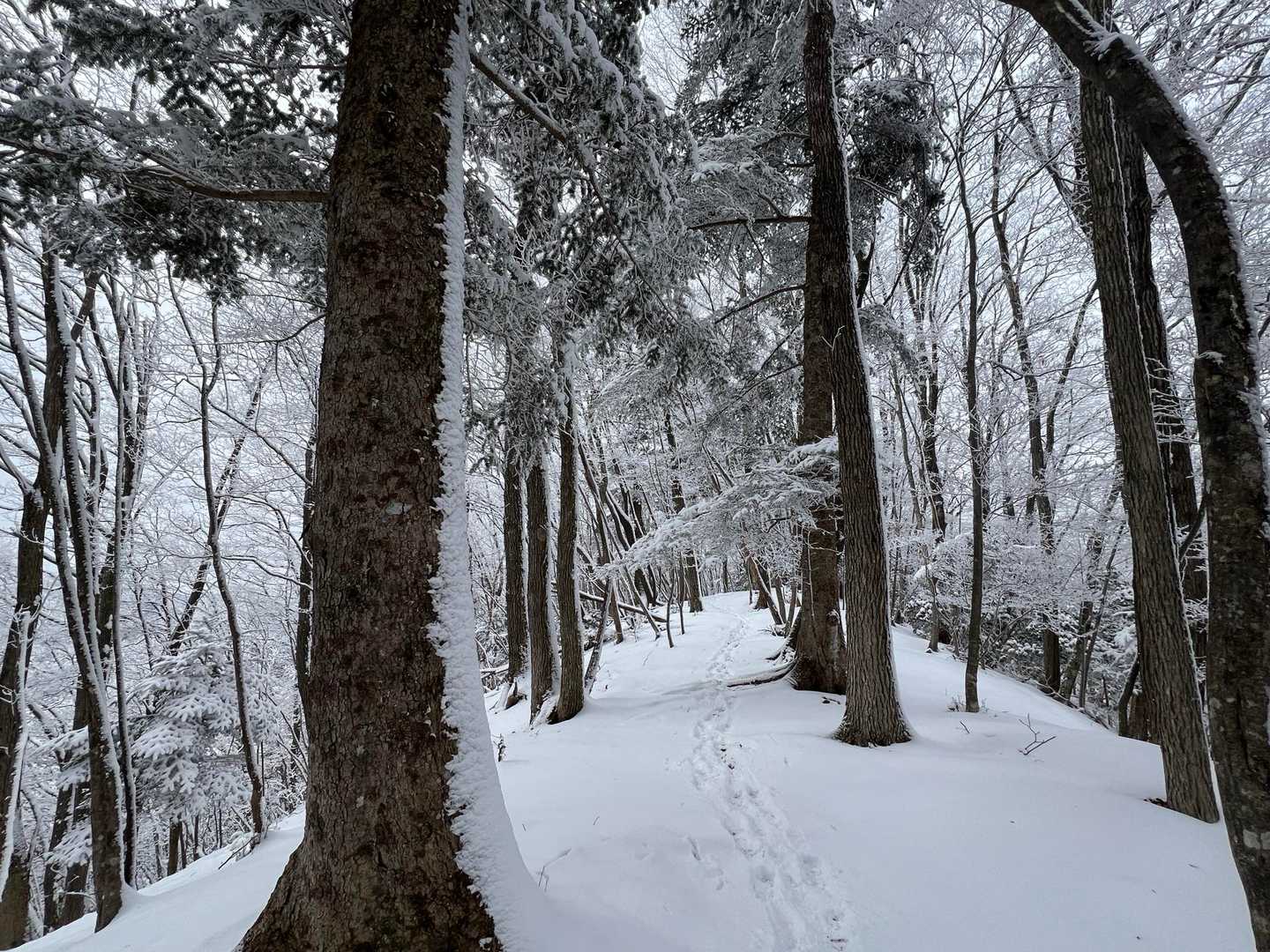帰り道