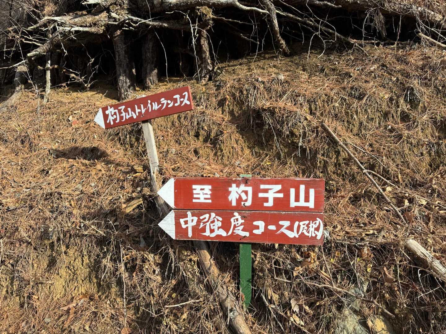中強度コース