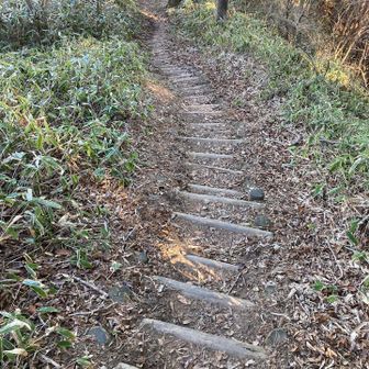 この辺、ヘロヘロでトボトボ歩き