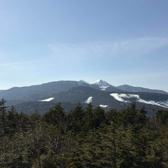 北八ヶ岳らしい、なだらかな山容