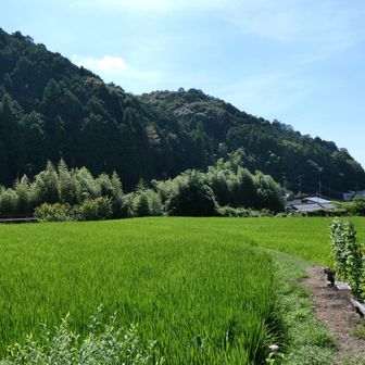のどかな景色を見ながら．．