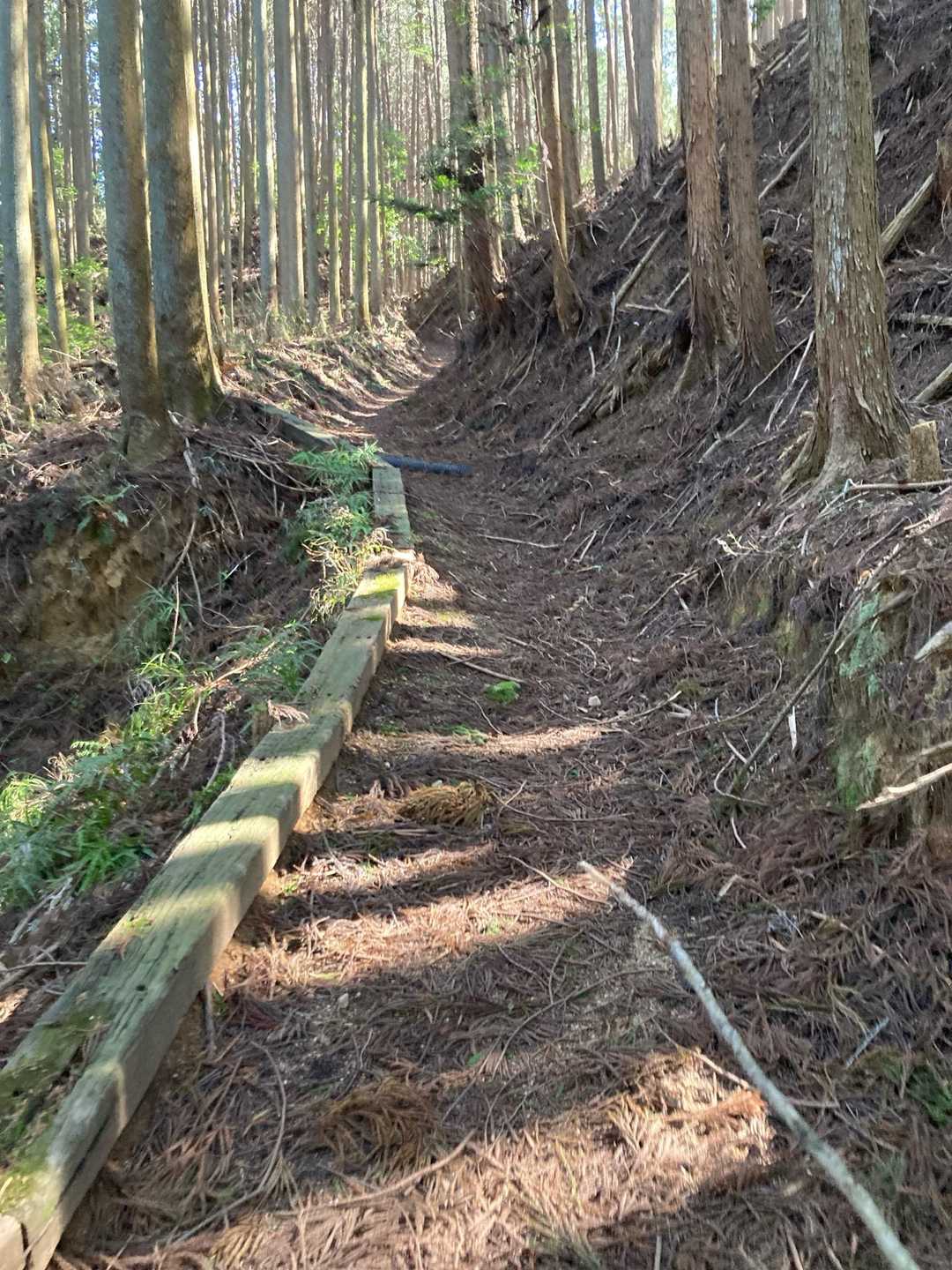 ずうーっとこんな感じの道