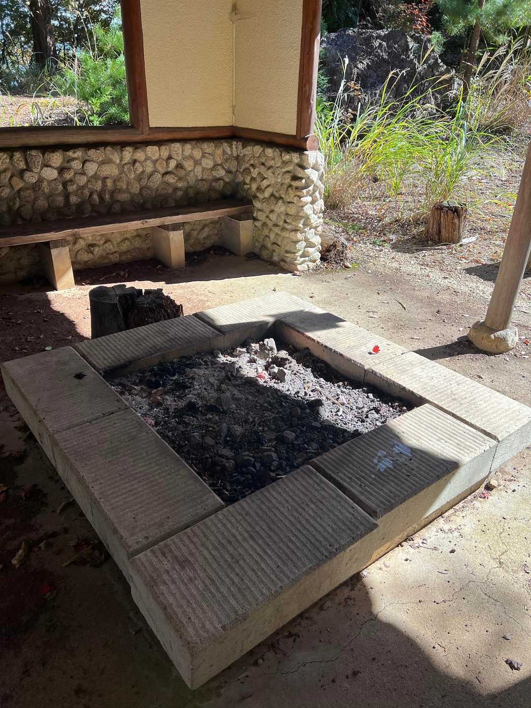 愛宕山 往復コースの写真
