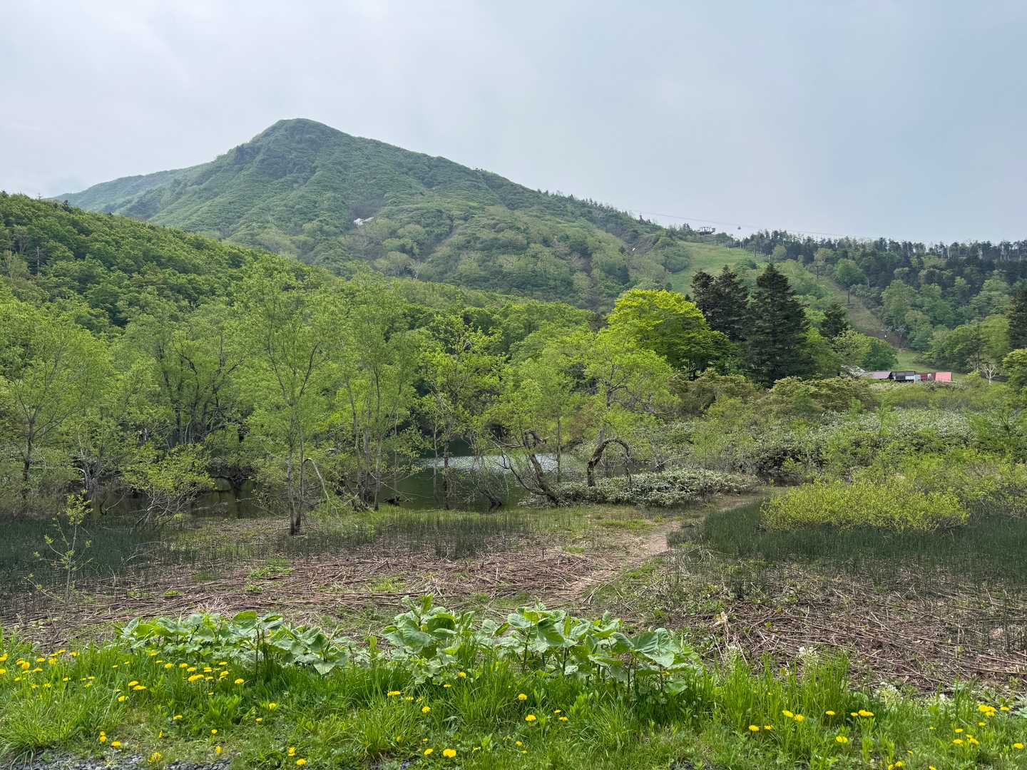 【フラット登山】蔵王の北には知られざる素敵な高原があるの写真