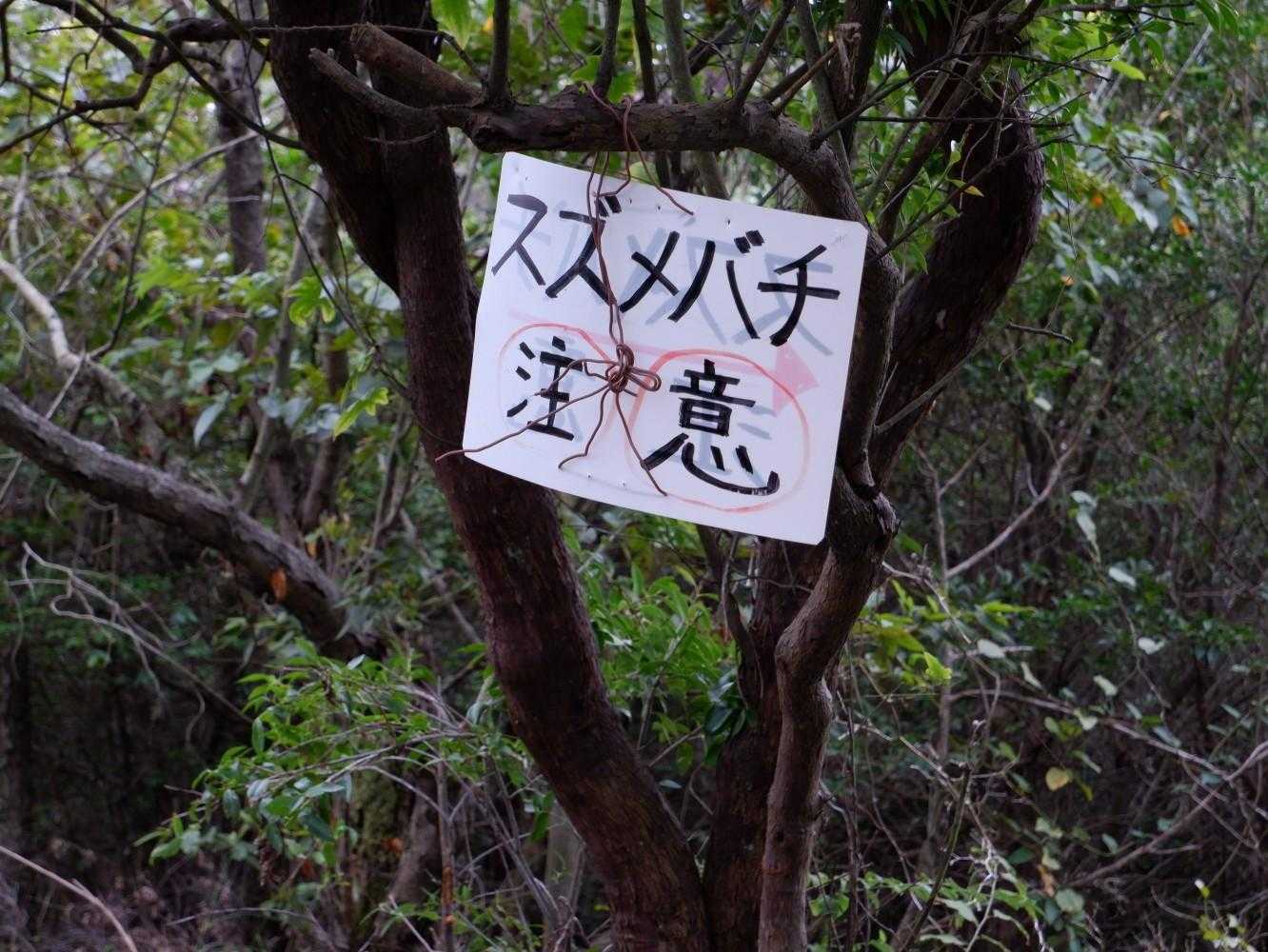 地面に弱ったスズメバチが一匹いたので近くに巣があるのかな、とビビってたらこの注意喚起😱
足早に通り過ぎます💦