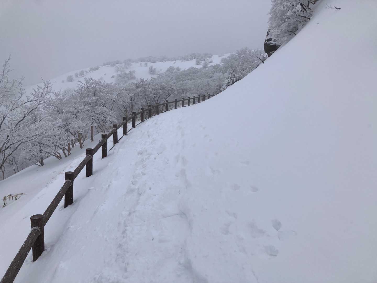 三角点へ向かう遊歩道