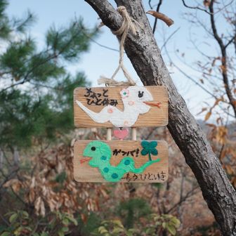 ゆるい感じがよき◎