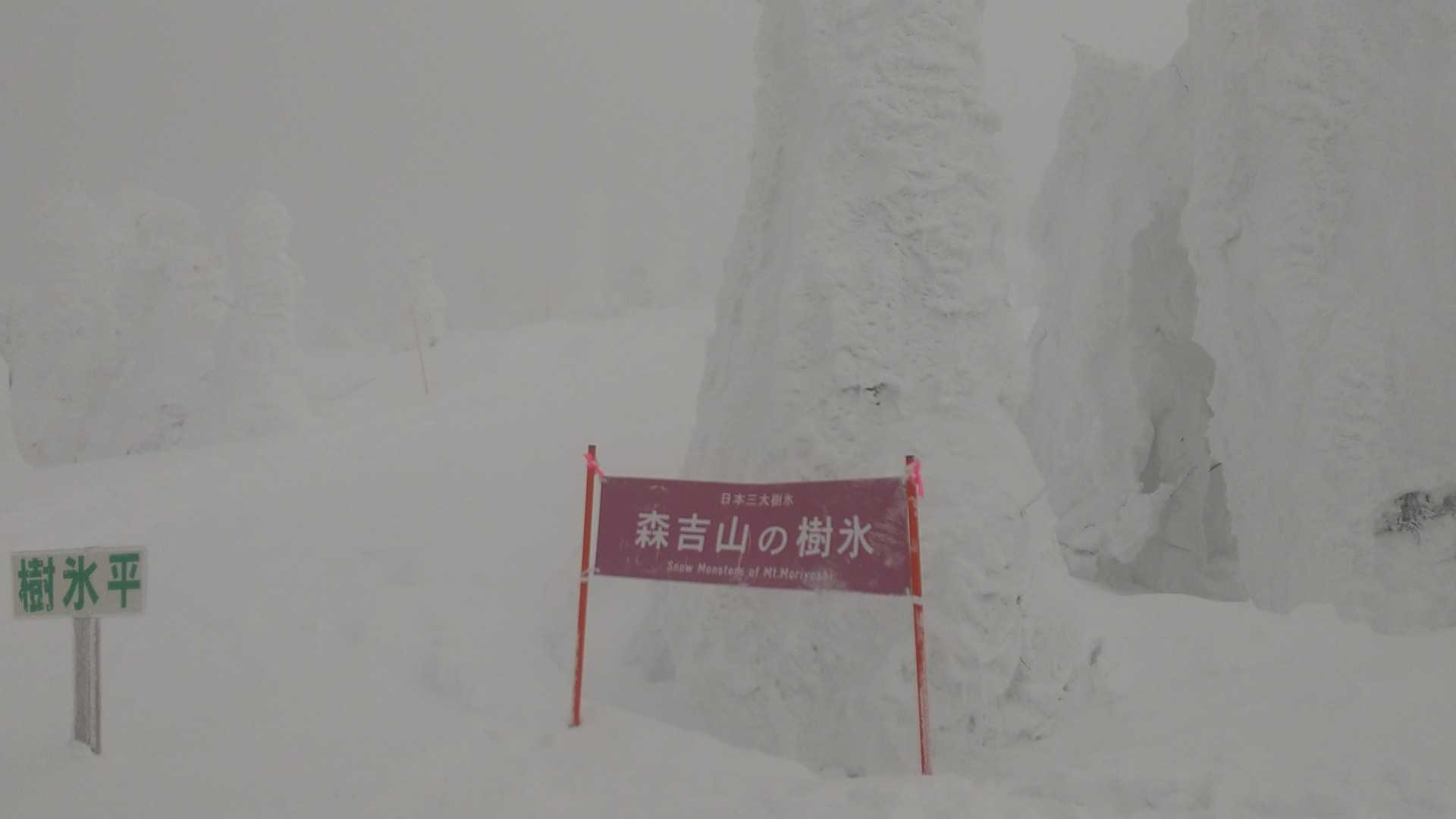 日本三大樹氷のひとつ☝️