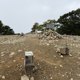 そんで山頂。地味に1695mとかなり高い。そういえば三重県最高峰。