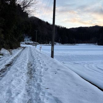 年末からの雪だけで歩きやすい