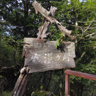 霧藻ヶ峰に到着。今日はここまでかな。
