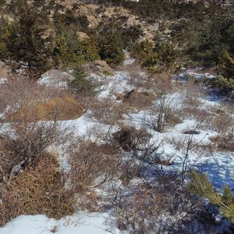 紫紺の空に映える八巻山にサヨナラして