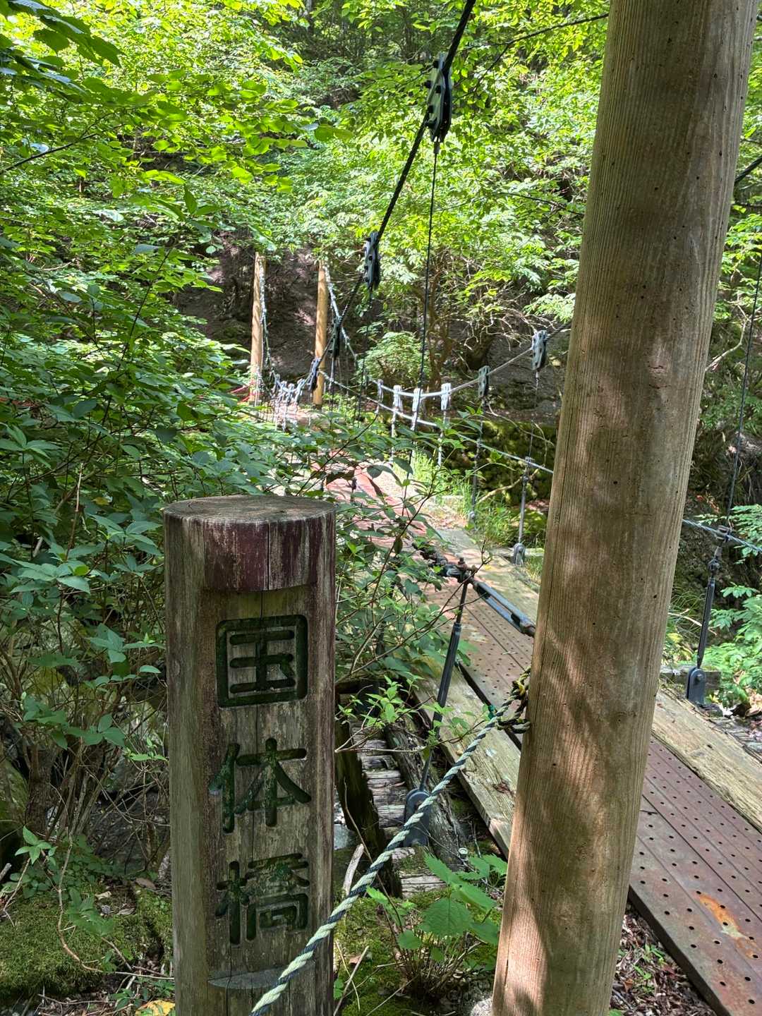 これがよくレポで見る国体橋