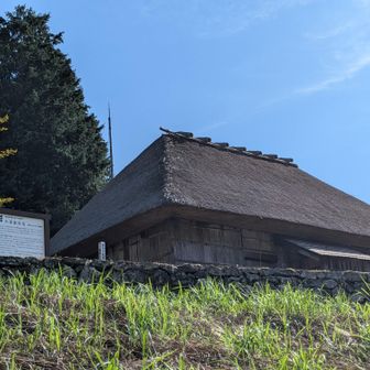 下山口には
国指定重要文化財
旧小采家住宅
こうねけじゅうたく
………………
祖谷地方に発達した構法で建てられた小規模民家の特徴をよく表した貴重な民家である。天保年間（１８３０～４４）の建築で、ニワとオモテからなる「一間取」の住宅で、土壁を保護するためのヒシャギ竹と呼ばれる割竹で外壁の表面に覆い、正面中央に前便所があるなど特徴的な外観をもつ。昭和58年8月に旧東祖谷山村栗枝渡集落から現在の東祖谷菅生集落へ移築復原されたそうです。