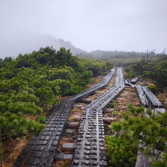 剣ヶ峰の分岐を過ぎると木道😍🚶