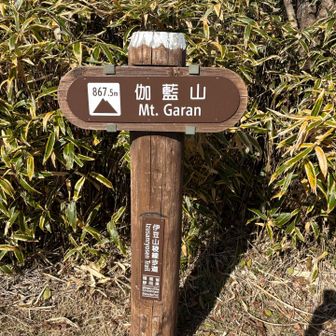 伽藍山。ピークが分からずウロウロ…