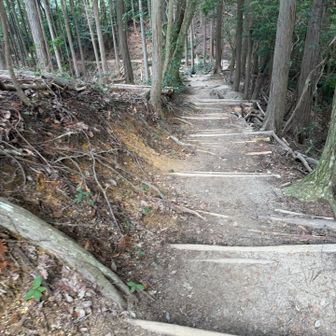 いつもより遠回りするのでカエル岩には一瞥もくれず素通りしてやりました。