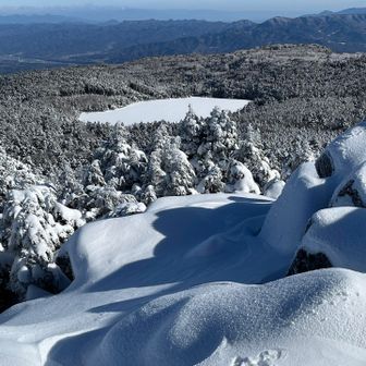 白駒池が見える