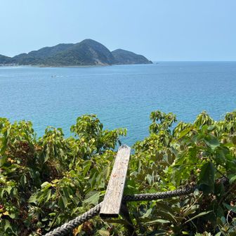 この→の先に沖ノ島が見えるようです