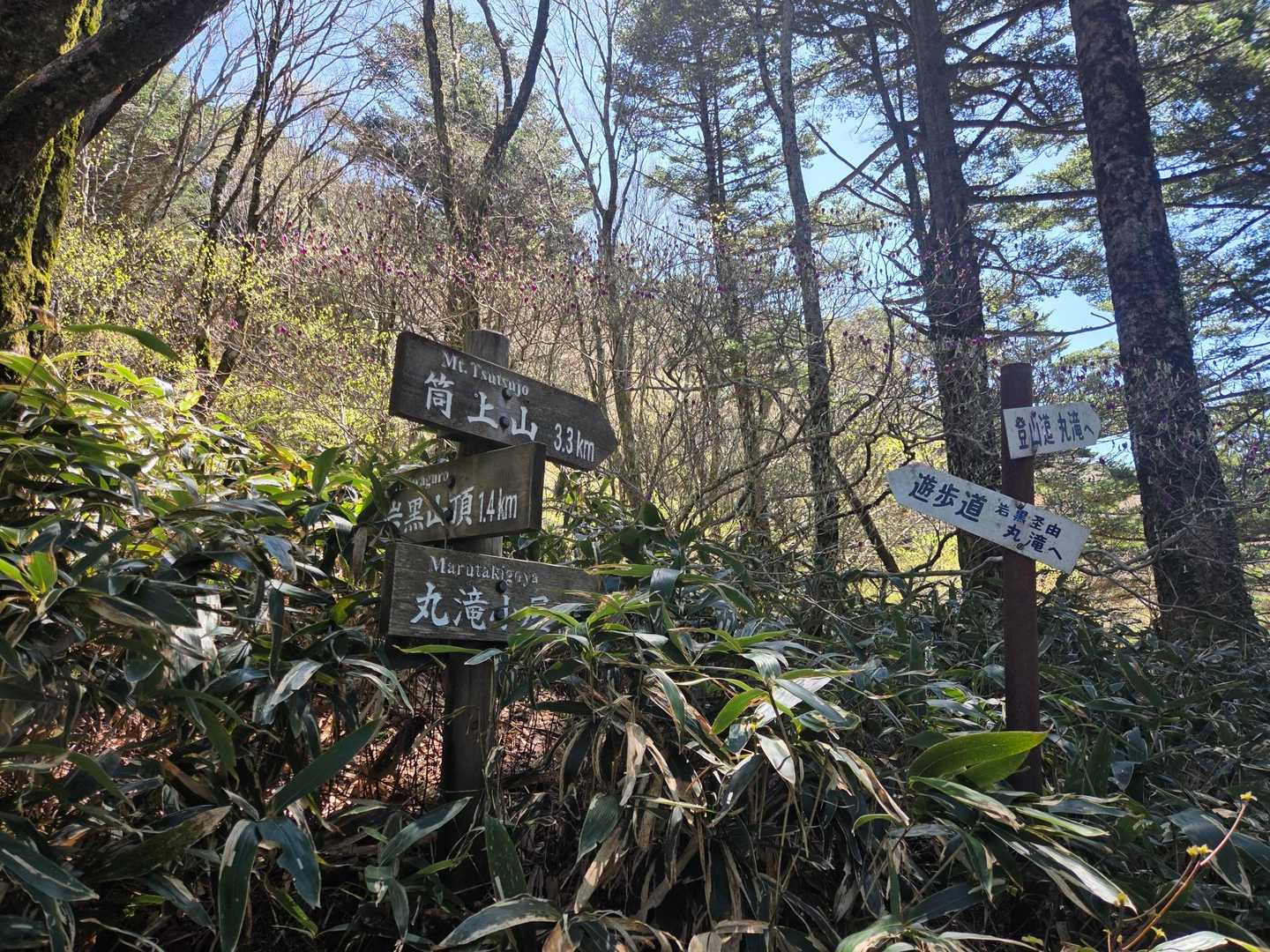 岩黒山 往復コースの写真