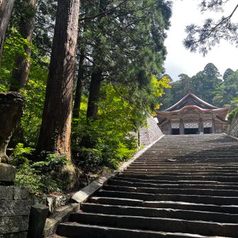 日本最大級の権現造りの建物だそうで。立派な建前。