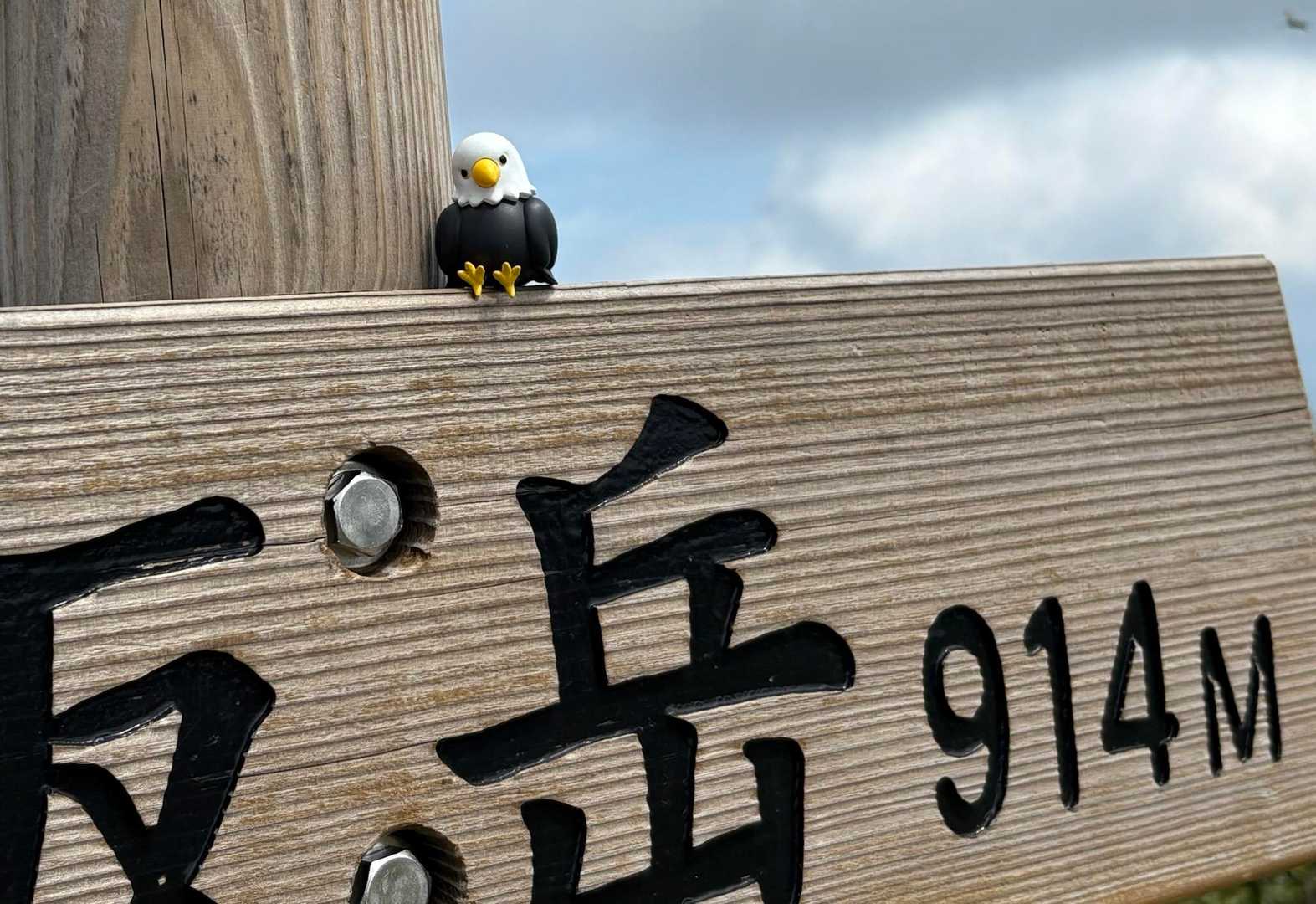 涼しいうちに　頂上　(｀_´)ゞ
野坂岳　914m
野坂岳　心地いーよ(914)で　どうですか🥹