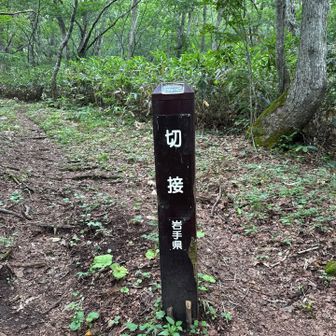下山はここまで☔️☔️